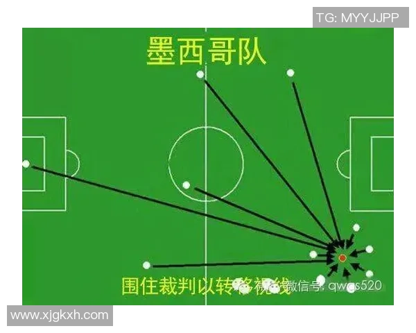 武汉排球队在世界杯预选赛中的团队协作表现分析与点评