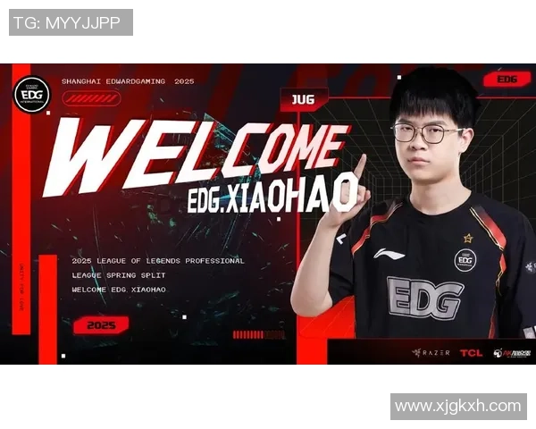 英雄联盟专题：深入分析EDG团队协作的成功秘诀与战术配合